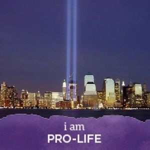 Meet your Posher, Joy